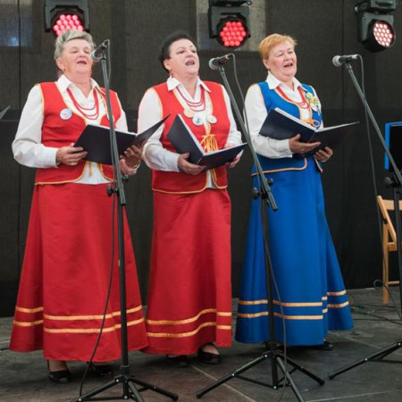 Wyświetl org. rozmiar