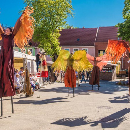 Wyświetl org. rozmiar