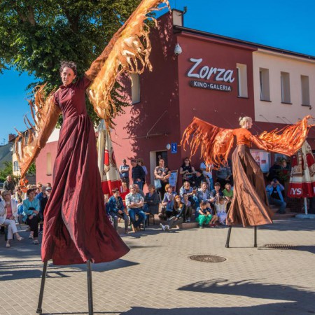 Wyświetl org. rozmiar