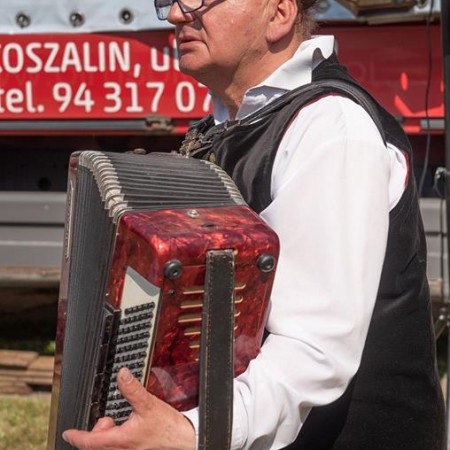 Wyświetl org. rozmiar