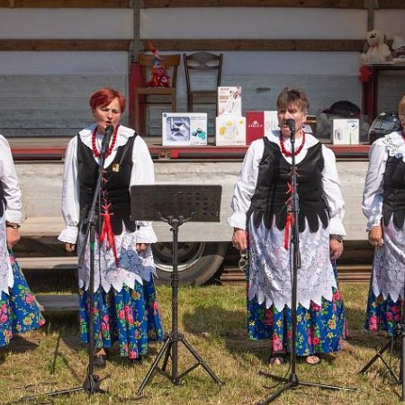 Wyświetl org. rozmiar