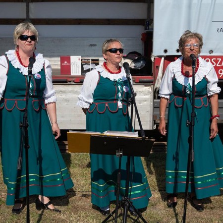 Wyświetl org. rozmiar
