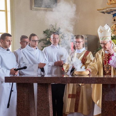 Wyświetl org. rozmiar