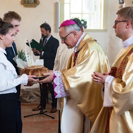 Wyświetl org. rozmiar