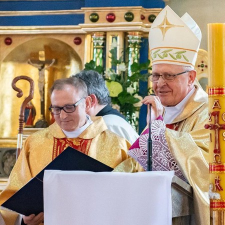 Wyświetl org. rozmiar