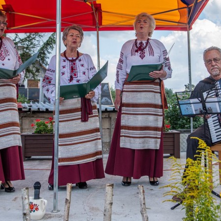 Wyświetl org. rozmiar