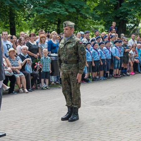 Wyświetl org. rozmiar