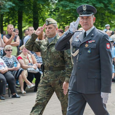 Wyświetl org. rozmiar