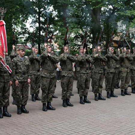 Wyświetl org. rozmiar