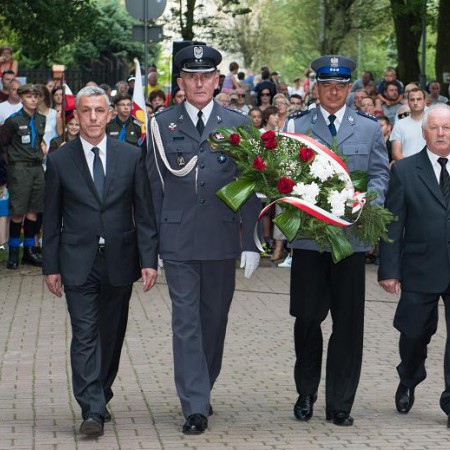 Wyświetl org. rozmiar