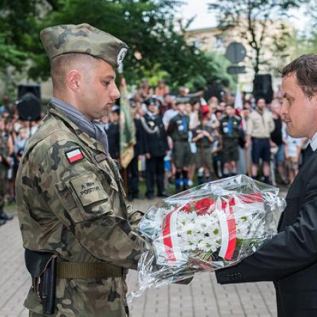 Wyświetl org. rozmiar