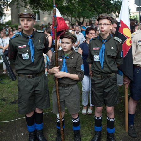 Wyświetl org. rozmiar