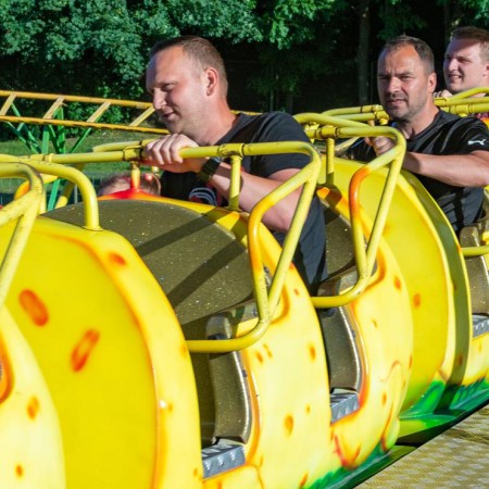 Wyświetl org. rozmiar