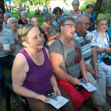 Wyświetl org. rozmiar