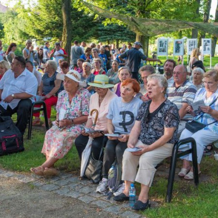 Wyświetl org. rozmiar