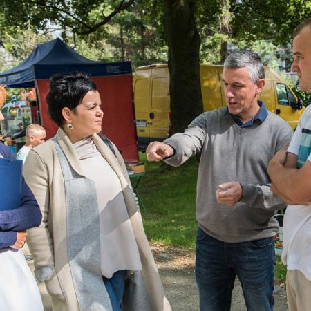 Wyświetl org. rozmiar