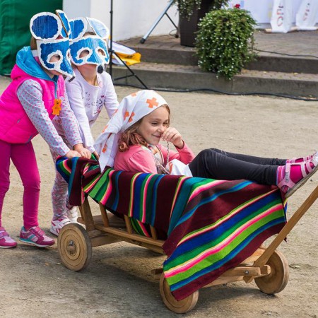 Wyświetl org. rozmiar