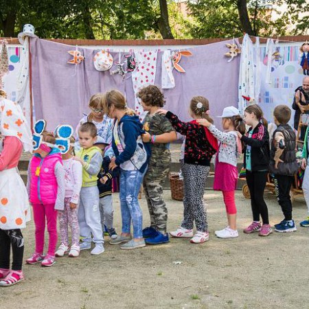 Wyświetl org. rozmiar