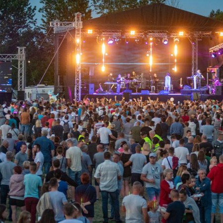 Wyświetl org. rozmiar