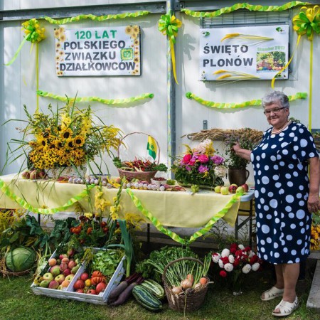 Wyświetl org. rozmiar