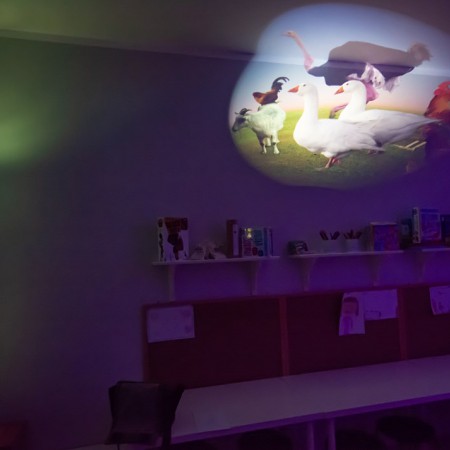 Wyświetl org. rozmiar