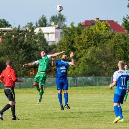 Wyświetl org. rozmiar