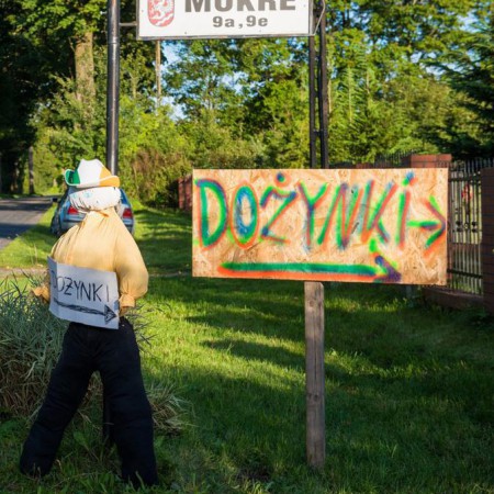 Wyświetl org. rozmiar