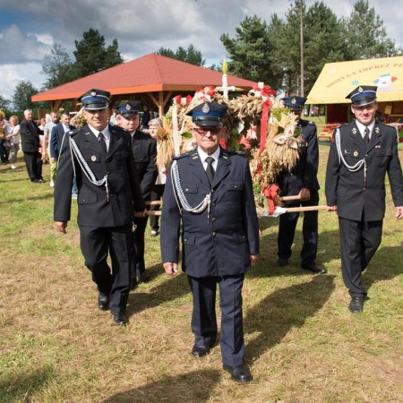 Wyświetl org. rozmiar
