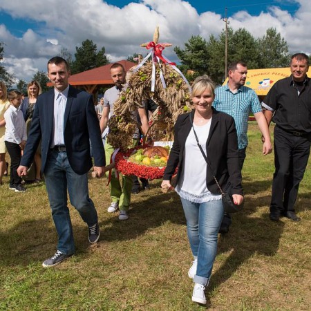 Wyświetl org. rozmiar