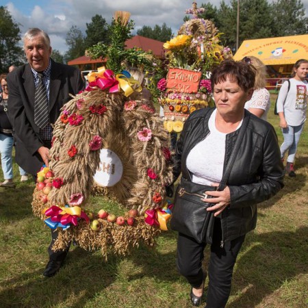Wyświetl org. rozmiar