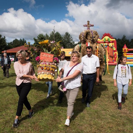 Wyświetl org. rozmiar