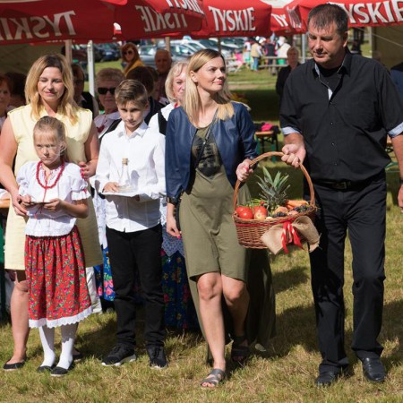 Wyświetl org. rozmiar