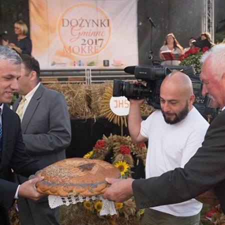 Wyświetl org. rozmiar
