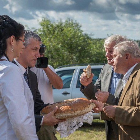 Wyświetl org. rozmiar