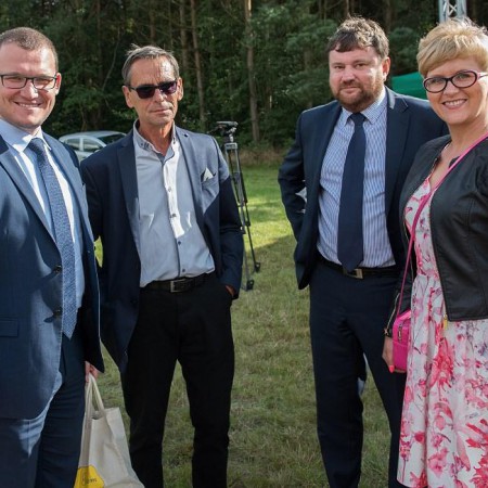 Wyświetl org. rozmiar
