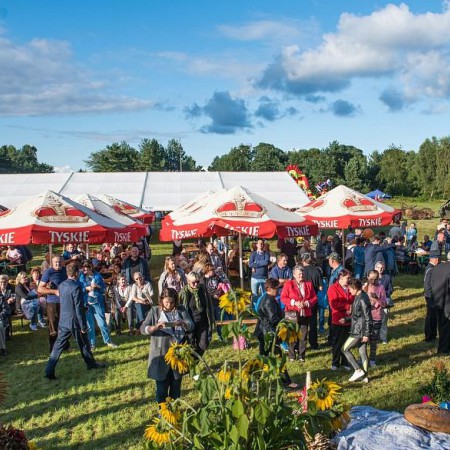 Wyświetl org. rozmiar