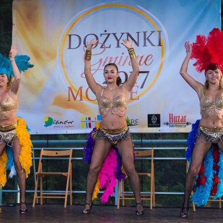 Wyświetl org. rozmiar