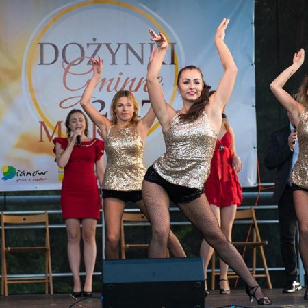 Wyświetl org. rozmiar