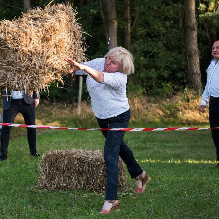 Wyświetl org. rozmiar