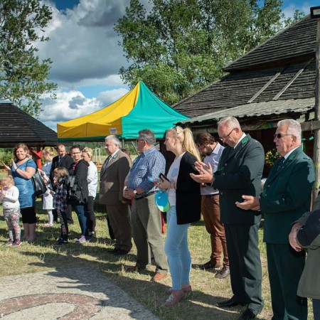 Wyświetl org. rozmiar