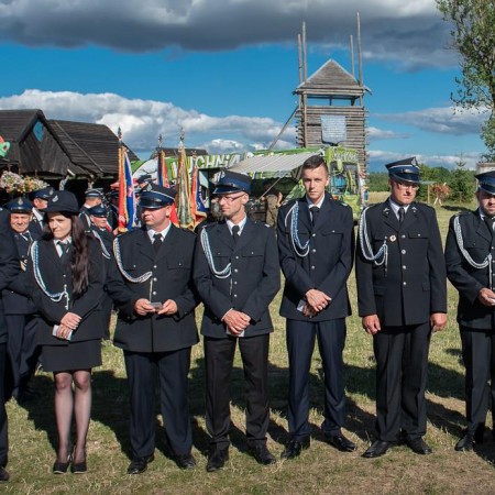 Wyświetl org. rozmiar