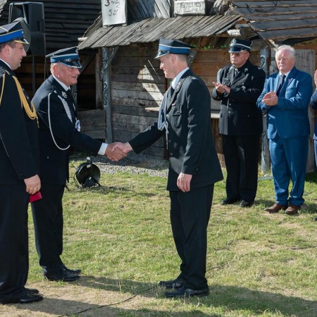 Wyświetl org. rozmiar