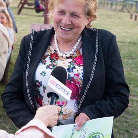 Wyświetl org. rozmiar