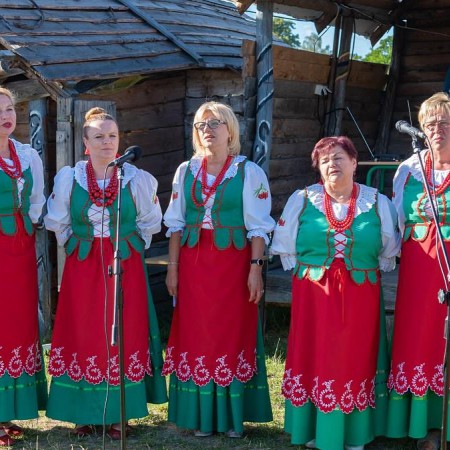 Wyświetl org. rozmiar