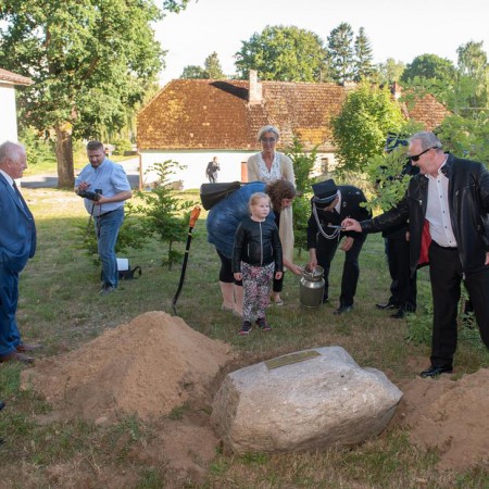 Wyświetl org. rozmiar