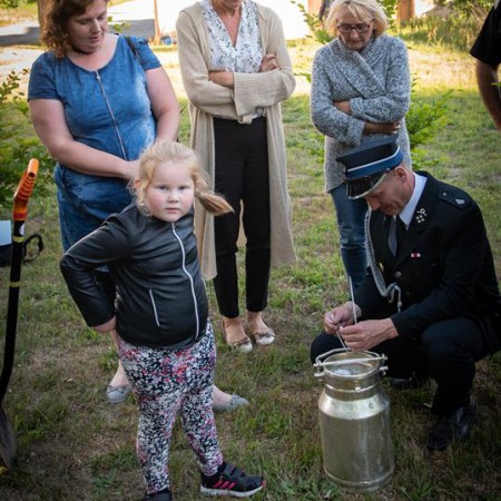 Wyświetl org. rozmiar