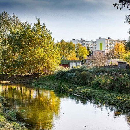 Wyświetl org. rozmiar