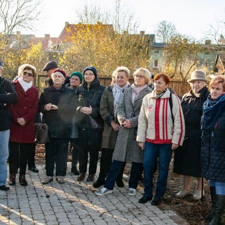 Wyświetl org. rozmiar