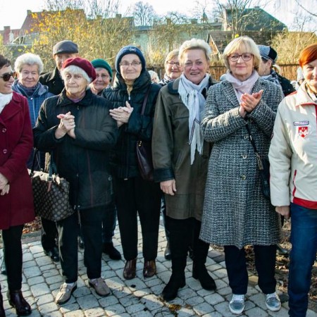Wyświetl org. rozmiar
