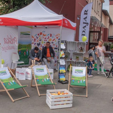 Wyświetl org. rozmiar
